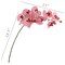 Real Touch Phalaenopsis Orchid Stem: Set of 2, 33.5-Inch, Floral Home by Artificial Flowers